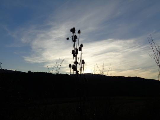 DSC00707_original